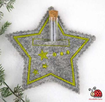 Weihnachten Stern Geld Verpackung gruen